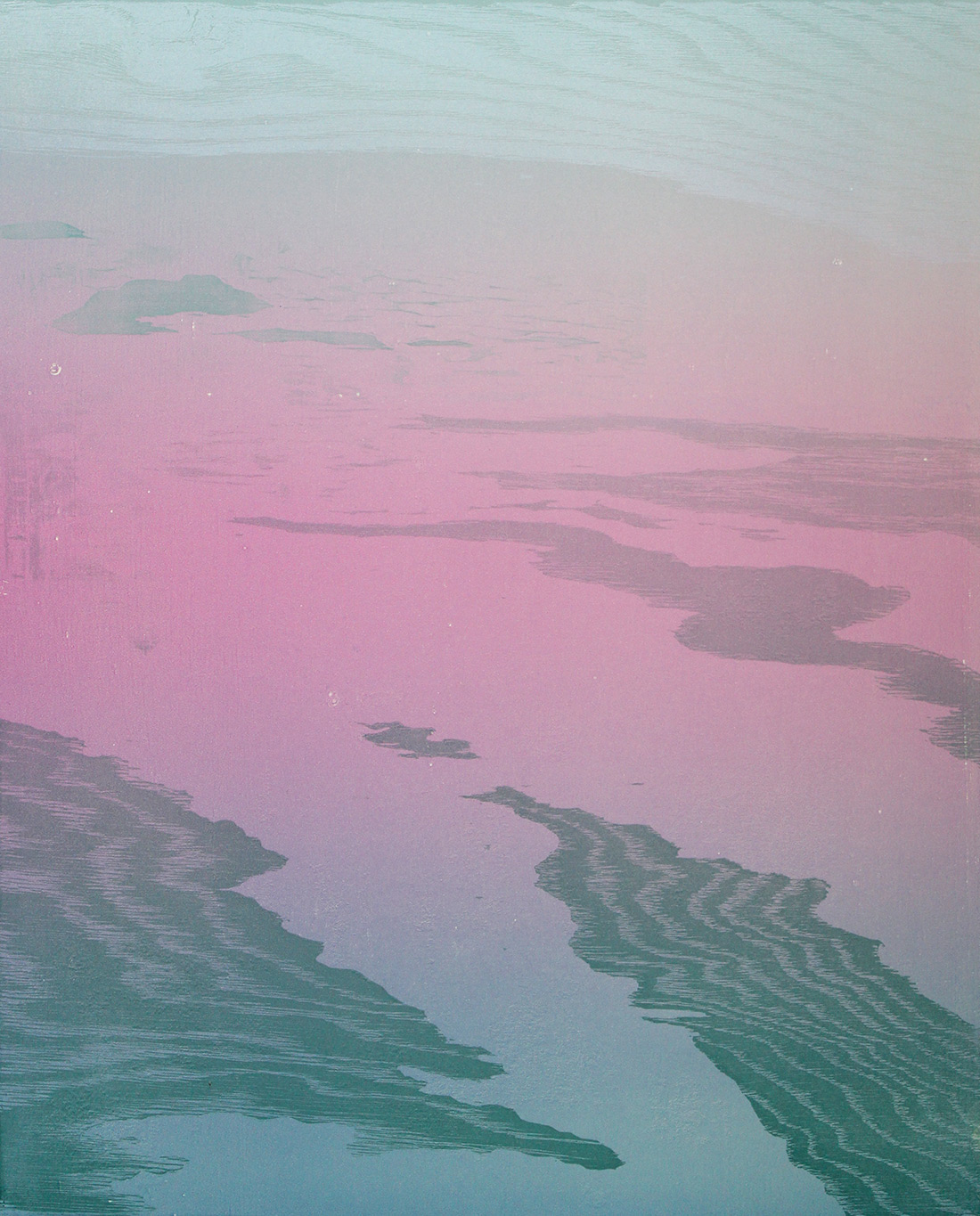 Reduction woodcut, 22” x 18”, made in collaboration with Maureen Moll