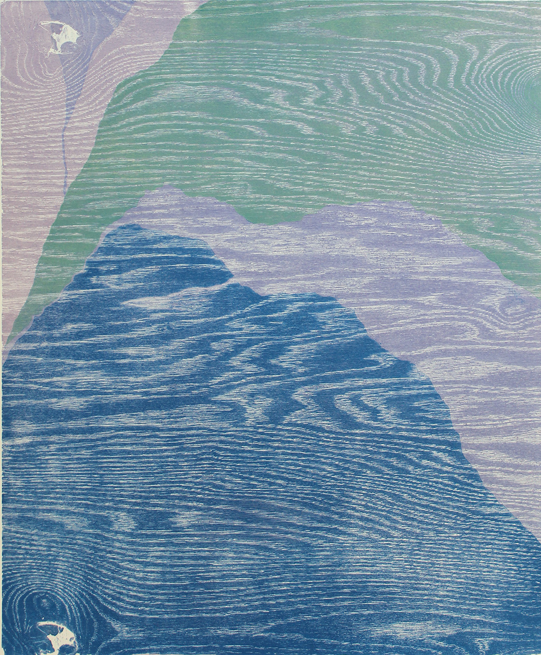 Reduction woodcut, 22” x 18”, made in collaboration with Maureen Moll